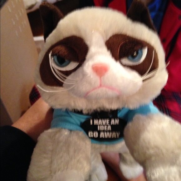 Meet your Posher, Sandy - Picture 1 of 1